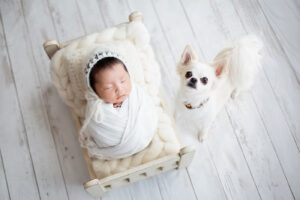 新生児の赤ちゃんが眠っている姿を自然光で撮影したニューボーンフォト_ペットの犬わんちゃんとも一緒に（吹田市）