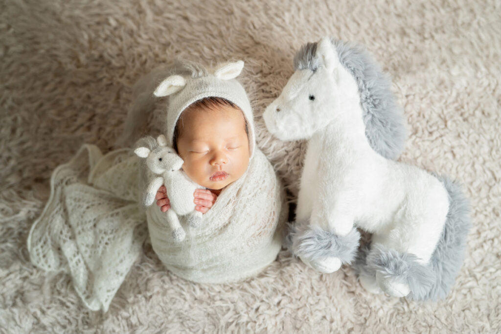 生後14日の男の子赤ちゃんニューボーンフォト_おひなまき(ポテトサック)_干支のニューボーンフォト（吹田のフォトスタジオふみる）