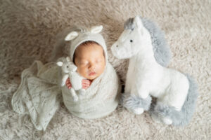 生後14日の男の子赤ちゃんニューボーンフォト_おひなまき(ポテトサック)_干支のニューボーンフォト（吹田のフォトスタジオふみる）