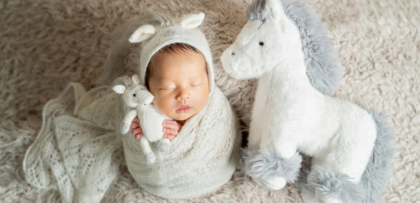 生後14日の男の子赤ちゃんニューボーンフォト_おひなまき(ポテトサック)_干支のニューボーンフォト(吹田のフォトスタジオふみる)