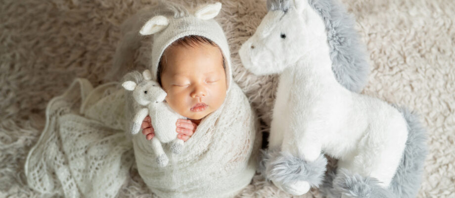 生後14日の男の子赤ちゃんニューボーンフォト_おひなまき(ポテトサック)_干支のニューボーンフォト(吹田のフォトスタジオふみる)